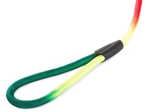 Smycz stylowa tradycyjna dla psa 120cm/1,2cm mocna Smycz stylowa tradycyjna dla psa 120cm/1,2cm mocna